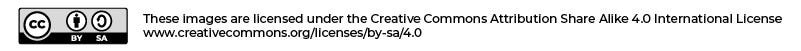 Creative Commons License
